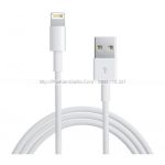 Cáp Lightning dành cho iPhone, iPad chính hãng Cáp Lightning dành cho iPhone, iPad chính hãng