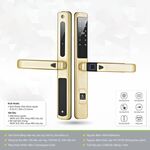 Khóa thông minh Kassler KL599 LX CHAMPAGNE