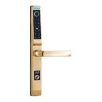 Khóa thông minh PHGLock FP5293 màu Vàng