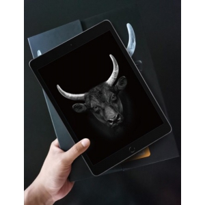 Miếng dán bảo vệ iPad Pro 10.2 Mipow Kingbull HD - Hàng Chính Hãng Miếng dán bảo vệ iPad Pro 10.2 Mipow Kingbull HD - Hàng Chính Hãng
