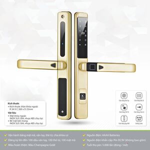 Khóa thông minh Kassler KL599 LX CHAMPAGNE